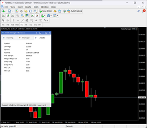 Trade Manager MT4 + MT5 - Lifetime